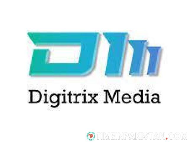 WordPress Web Development in Karachi - Digitrix Media Limited - 1