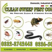 clean sweep pest control